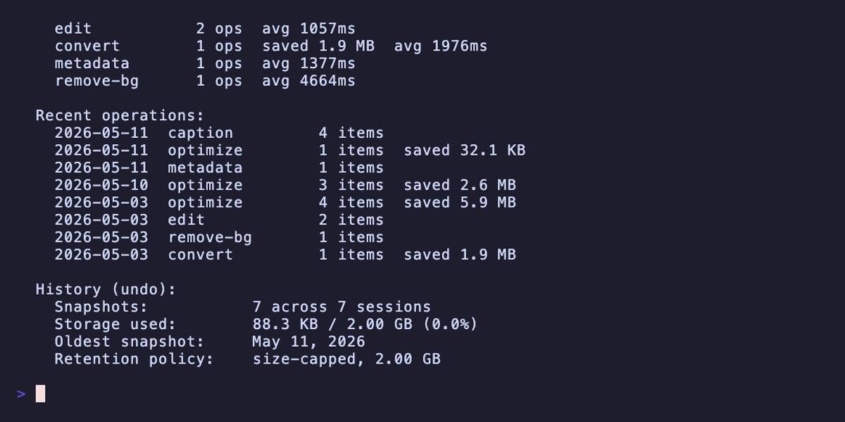 localPress stats dashboard — cumulative savings, format breakdown, and recent operations